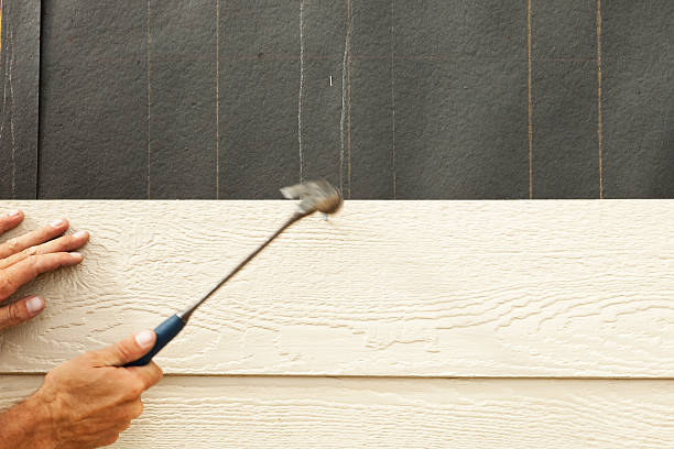 Best Fiber Cement Siding Installation  in Whitley City, KY